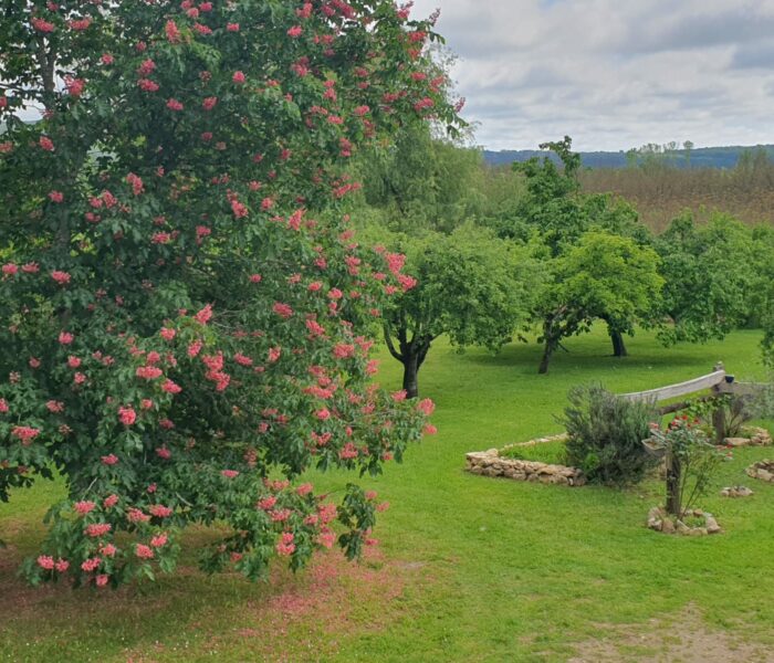 Le Jardin