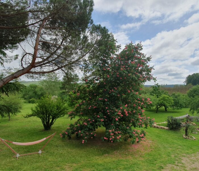 La Vue depuis la terrasse