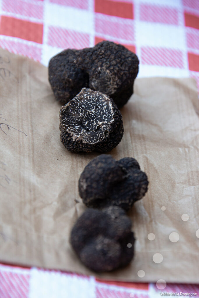 Truffe du Lot