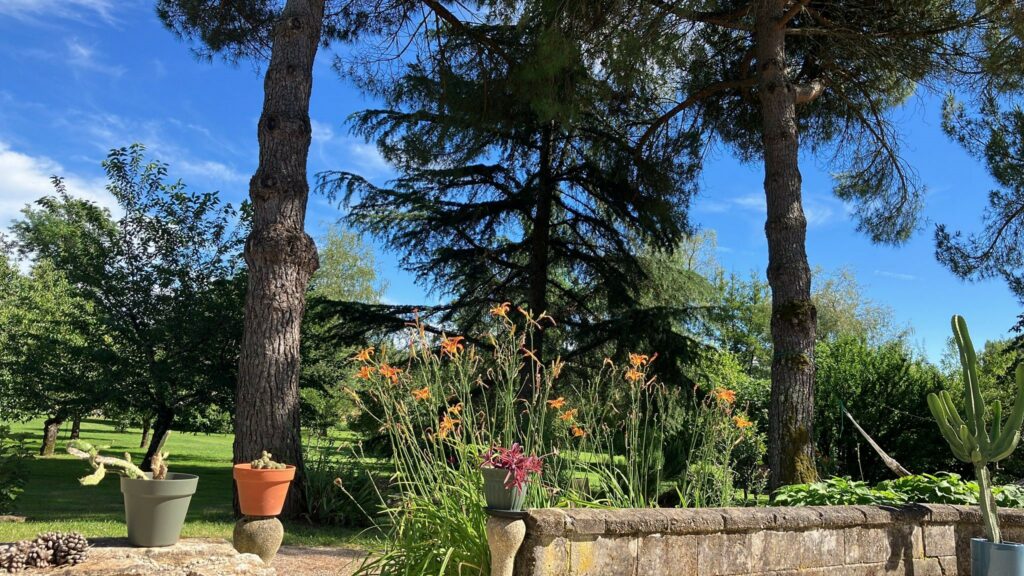 Jardin